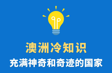 澳大利亚冷知识：探索这个多彩国度的独特之处