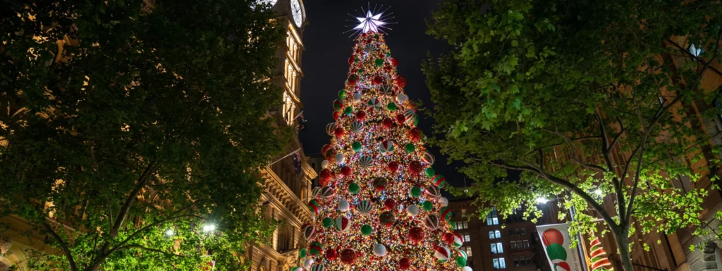 悉尼圣诞活动Martin Place Christmas tree