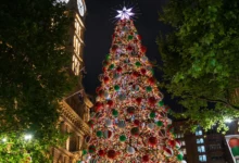 悉尼圣诞节活动 - Martin Place Christmas tree（马丁广场圣诞树）