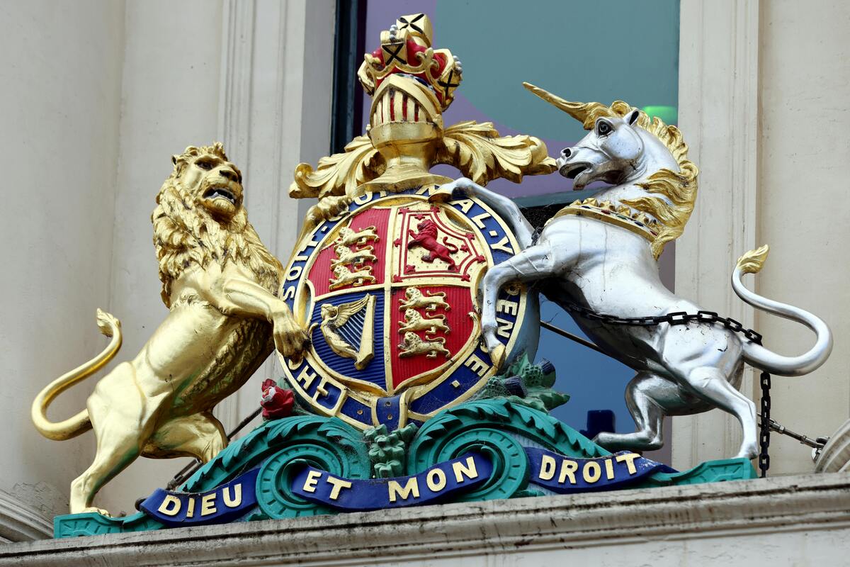 澳大利亚的“猫王国”：揭秘澳洲独有的猫科动物及其生态关系