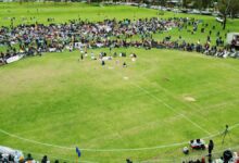 澳大利亚看牙医全攻略：费用、流程与保险报销指南