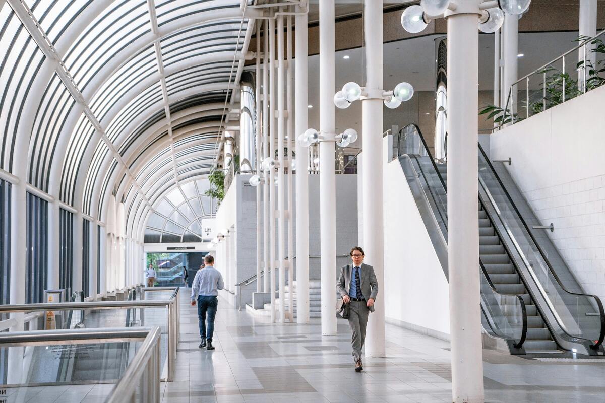 澳大利亚牛肉为何暂停出口？全面解析禁令背后的原因与影响