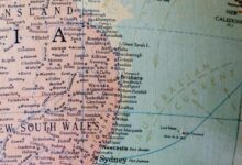 揭秘澳大利亚桉树耐火之谜：进化奇迹与生态保护的完美融合