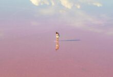 揭秘澳大利亚城市代码：SA究竟是哪个城市的简称？