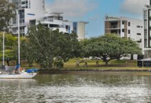 探索澳洲红茶文化：从Daintree茶园到英式下午茶的完整指南