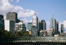 探秘澳大利亚本土特产：从美食到纪念品的完整指南