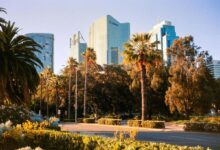 揭秘澳大利亚篮球强校：从职业球员摇篮到大学冠军之路