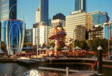 澳大利亚螃蟹捕捞全攻略：哪里最多？如何挑选与烹饪？