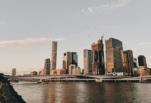 揭秘澳大利亚兔子病：粘液瘤病毒的生态灾难与防控指南