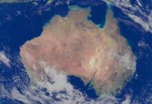 揭秘澳大利亚俚语世界：笨蛋不叫“笨蛋”？这些有趣称呼你知道几个