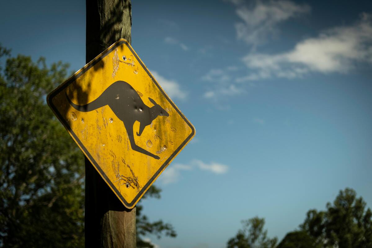 从澳洲出发，这些国家旅游最方便！免签、直飞、性价比全攻略